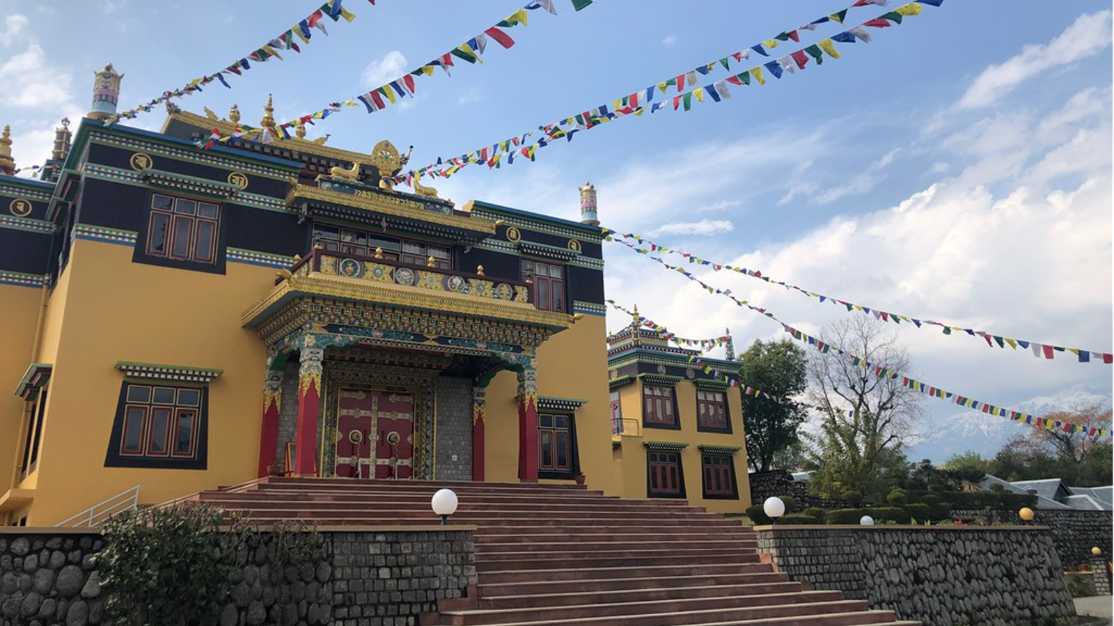 Gaby's fellowship at Aavishkaar